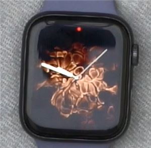 Apple Watch Series 5如何更换表盘风格？