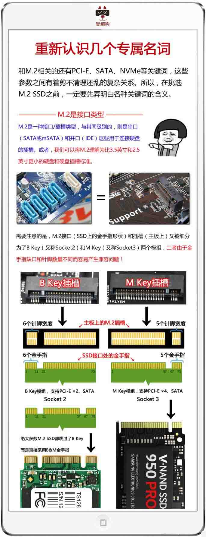 NVMe SSD是什么?5张图让你明白SSD那些事