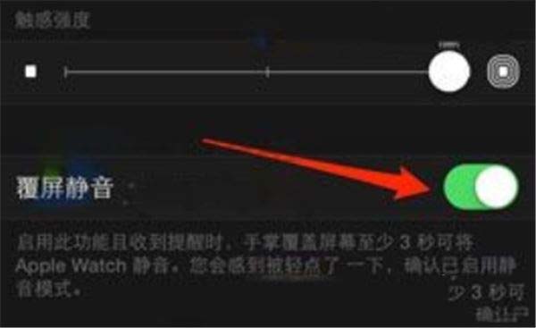 Apple Watch Series 5怎么在手机上关闭静音模式