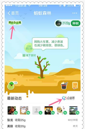 支付宝app蚂蚁森林明星公益林怎么给明星浇水?