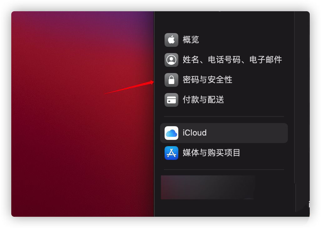 MacOS Big Sur系统怎么进行Apple ID双重认证?