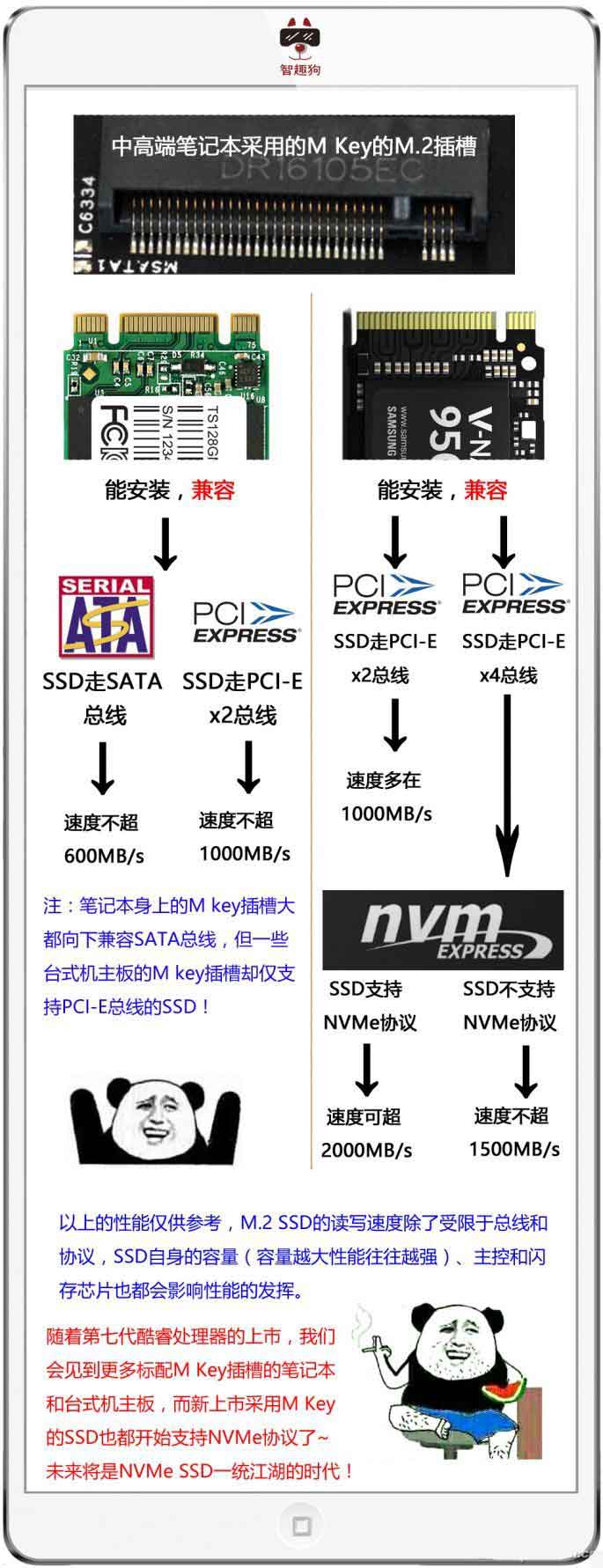 NVMe SSD是什么?5张图让你明白SSD那些事