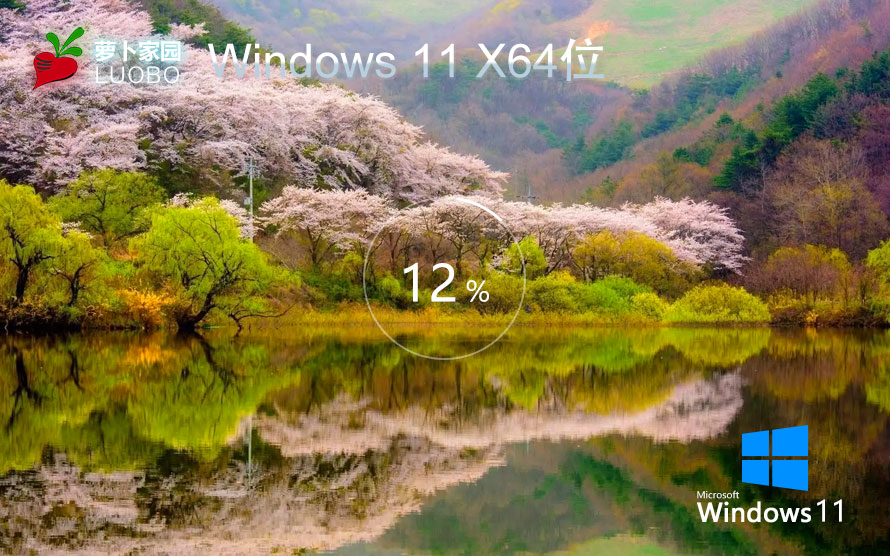 蘿卜家園WIN11企業(yè)版 永久激活 GHOST windows11 X64 V2023