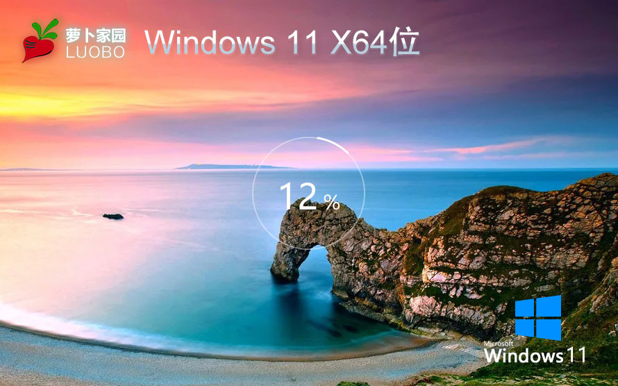 windows11下載 蘿卜家園win11專(zhuān)業(yè)版 X64位 V2023官網(wǎng)下載