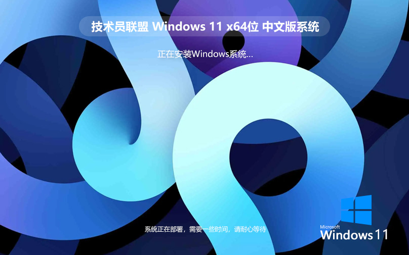 Windows11專業(yè)版 技術員聯(lián)盟 純凈PE安裝 ghost系統(tǒng) ISO鏡像 X64位下載