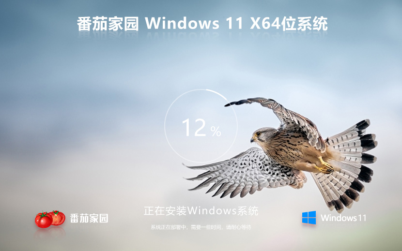 Windows11下載專業(yè)版番茄花園 聯(lián)想戴爾等筆記本專用ghost系統(tǒng) ISO鏡像 X64位