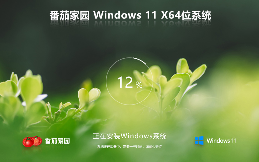 番茄花園Win11正式版下載 windows11最新版 ghost系統(tǒng) ISO鏡像 X64位 下載