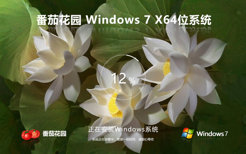 番茄花園windows7企業(yè)版 64位企業(yè)版完美裝機版 永久激活 ghost鏡像下載