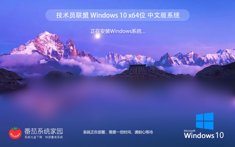 技術(shù)員聯(lián)盟windows10專業(yè)版 64位專業(yè)正式版下載 永久激活系統(tǒng)鏡像 v2023