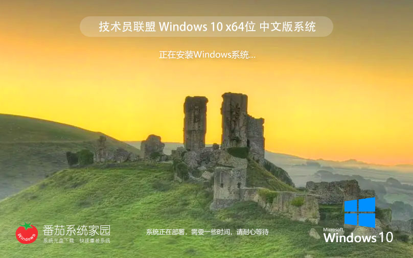 技術(shù)員聯(lián)盟windows10 64位 免費家庭版下載 ghost鏡像 v2023