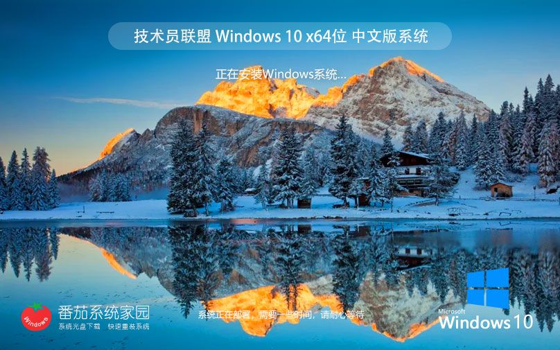 windows10企業(yè)版 技術(shù)員聯(lián)盟win10永久激活版下載 ghost鏡像 v2023