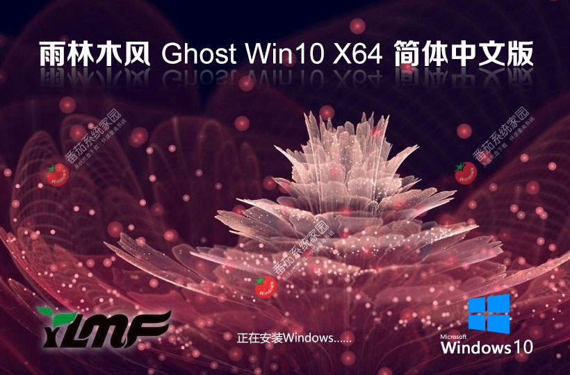 win10全能娛樂版 雨林木風x64位下載 筆記本專用 ghost鏡像