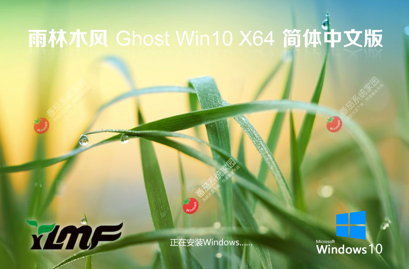 win10專業(yè)版激活密鑰 雨林木風(fēng)系統(tǒng)下載 64位 筆記本專用下載