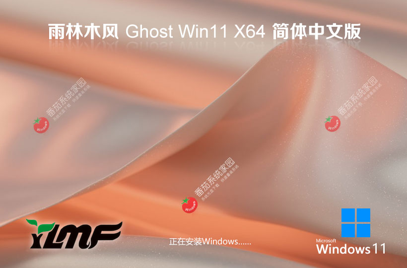 windows11游戲?qū)Ｓ孟到y(tǒng) 雨林木風(fēng)x64位下載 GHOST鏡像 免激活工具