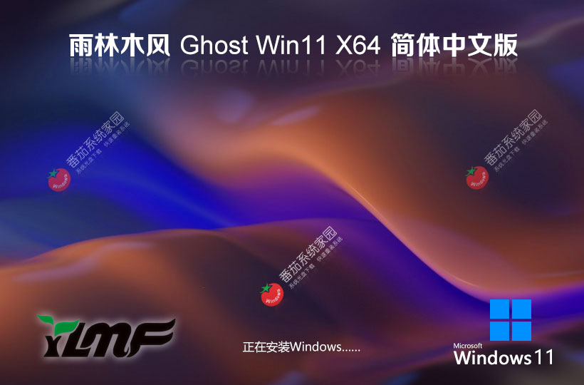 雨林木風(fēng)win11企業(yè)專用版 GHOST鏡像 最新版X64位 筆記本專用下載