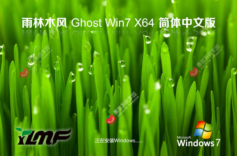 windows7企業(yè)版最新下載 雨林木風x64位簡體中文 GHOST鏡像 v2023