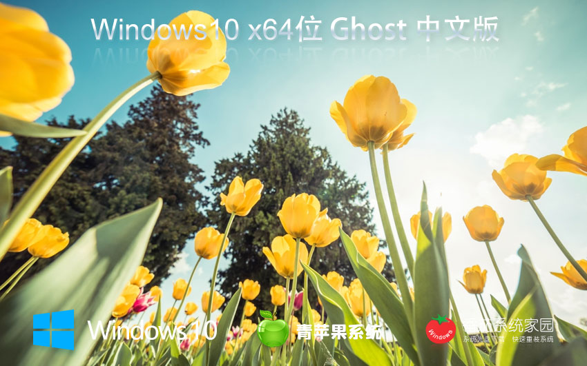 windows10最新企業(yè)版下載 青蘋果系統(tǒng)x64位 永久激活 ghost鏡像下載