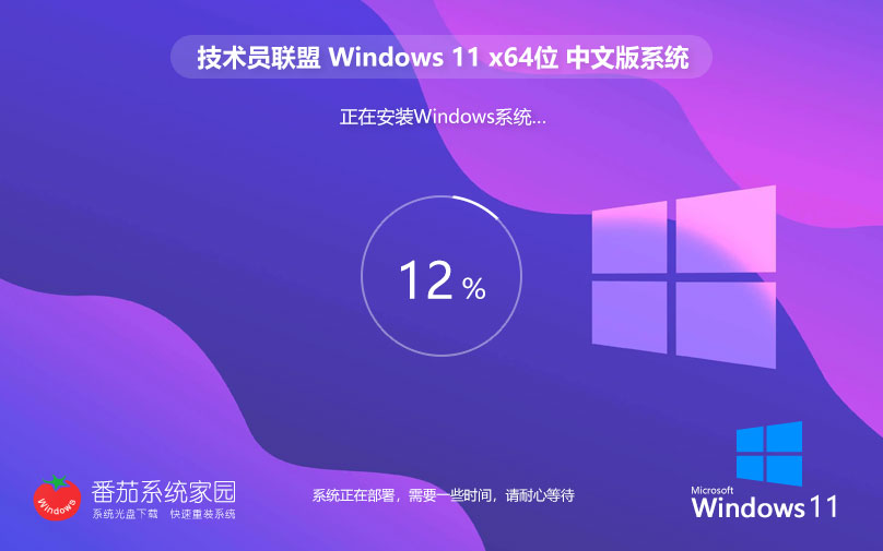 win11最新娛樂版下載 技術員聯(lián)盟x64位 ghost系統(tǒng) ISO鏡像 v2023