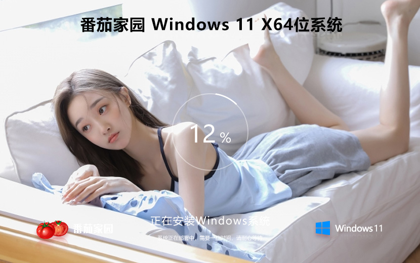 Windows11最新旗艦版下載 番茄花園正式版 ghost系統(tǒng) ISO鏡像x64下載