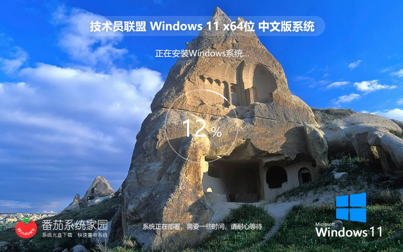 Windows11官方專業(yè)版 技術員聯(lián)盟x64位下載 Ghost系統(tǒng) ISO鏡像下載