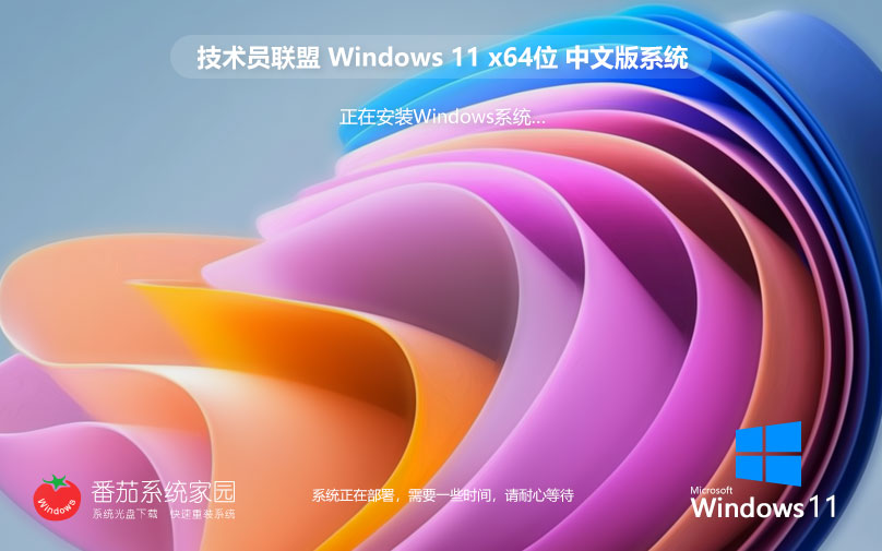 win11企業(yè)正式版下載 技術(shù)員聯(lián)盟 x64位經(jīng)典版下載 華碩筆記本專用下載