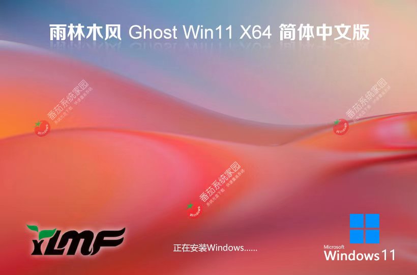 雨林木風(fēng)win11企業(yè)版 官方原裝版下載 x64位永久免費(fèi) GHOST鏡像下載