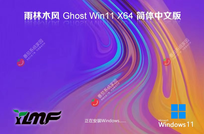 Windows11企業(yè)版下載 雨林木風(fēng)完美兼容版 x64位下載 GHOST鏡像