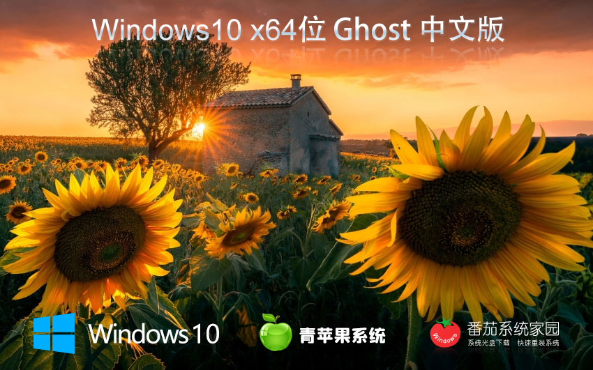 青蘋果系統(tǒng)win10增強版 x64位穩(wěn)定版下載 ghost系統(tǒng)下載 戴爾筆記本專用