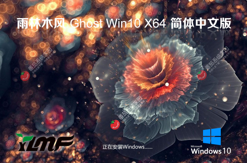 雨林木風(fēng)最新版下載 x64位系統(tǒng) Windows10娛樂優(yōu)化版下載 聯(lián)想電腦專用