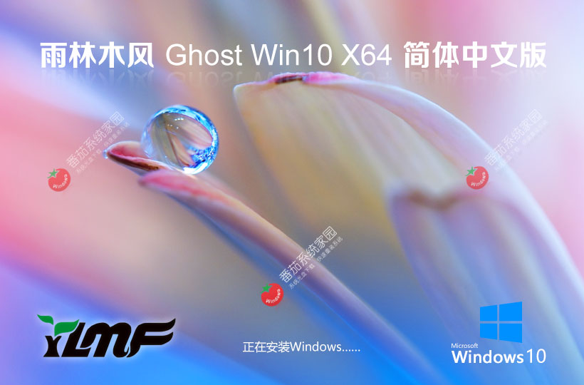 雨林木風x64游戲?qū)Ｓ冒?win10電競戰(zhàn)斗版 ghost鏡像下載 免激活工具