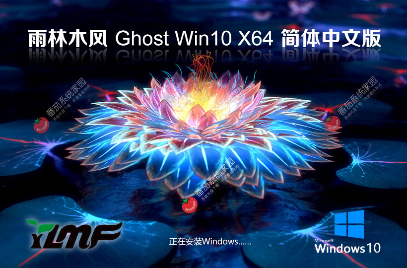 雨林木風(fēng)Ghost Win10企業(yè)版下載 64位極品安裝版 戴爾筆記本專用下載