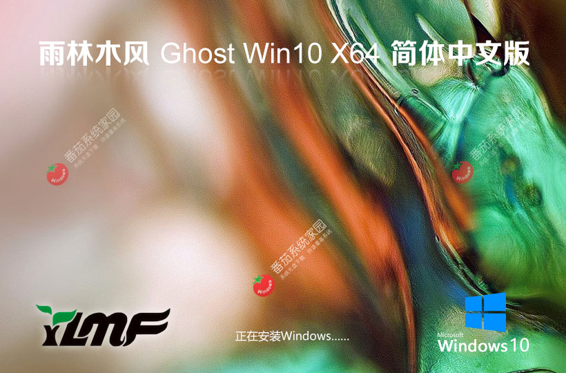 雨林木風(fēng)Win10旗艦版 戴爾筆記本專用下載 GHOST鏡像 64位完美裝機(jī)版下載