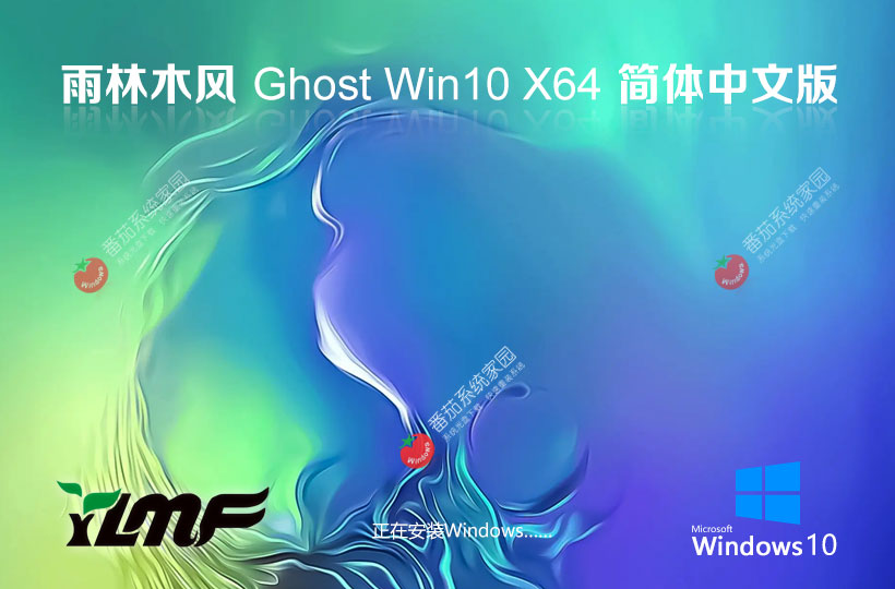 雨林木風x64位企業(yè)版 ghost系統(tǒng)下載 戴爾筆記本專用 win10技術流暢版下載