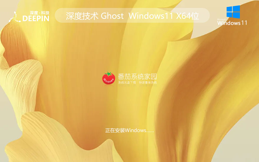 深度技術(shù)win11娛樂版 ghost系統(tǒng)下載 聯(lián)想電腦專用 x64加強(qiáng)版下載