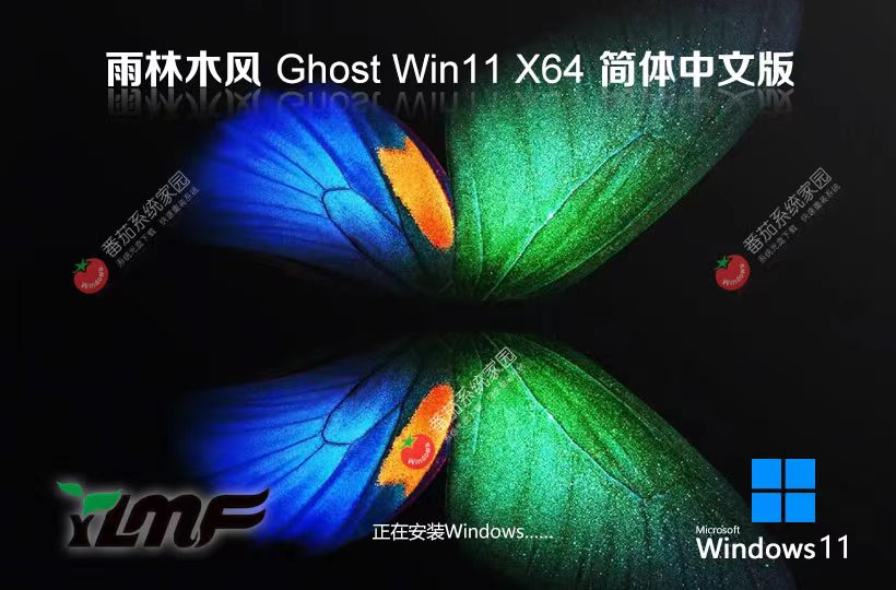 雨林木風win11純凈版下載 免激活工具 x64位系統(tǒng)下載 GHOST鏡像