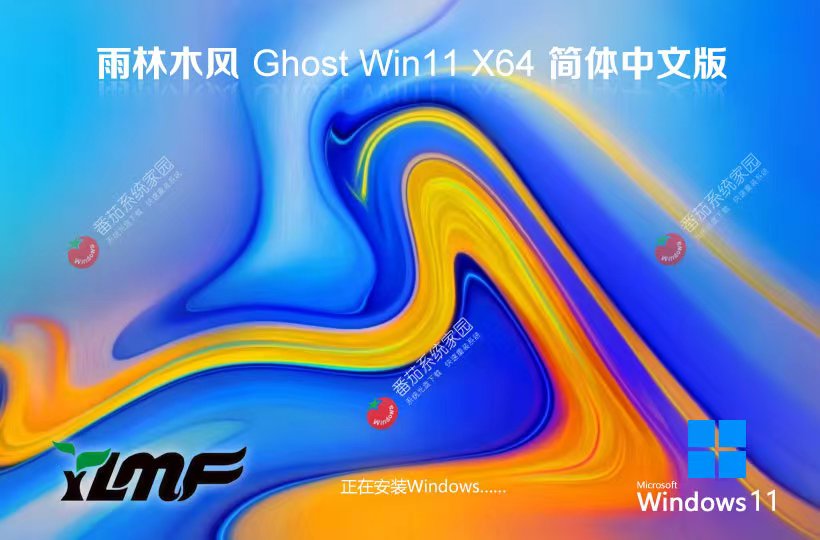 Windows11無病毒大神版下載 雨林木風 64位專業(yè)版下載 ghost鏡像