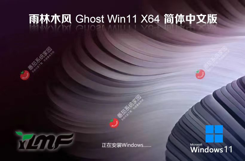 雨林木風(fēng)Windows11下載 64位純凈版下載 ghost鏡像 免激活工具 v2023