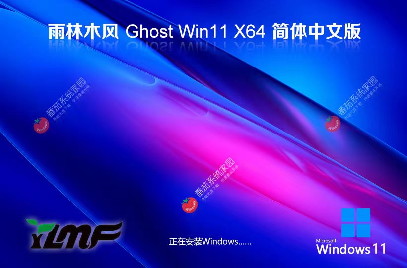 雨林木風x64通用版下載 Windows11游戲專用系統(tǒng) ghost系統(tǒng)下載 戴爾筆記本專用