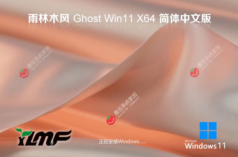 雨林木風(fēng)x64游戲版 win11無(wú)憂全能版下載 ghost鏡像 免激活工具下載