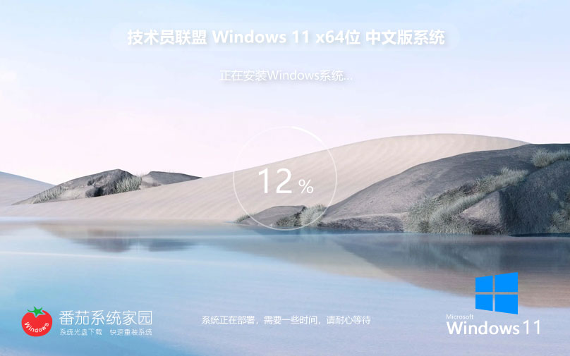 技術員聯(lián)盟win11家庭版 x64位增強版下載 無需激活碼 iso鏡像下載