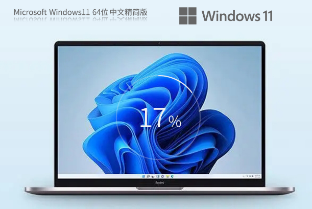 Win11 22H2 64位 中文精簡專業(yè)版 V2023