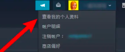 steam怎么查看ID码-steam17位ID码查看方法