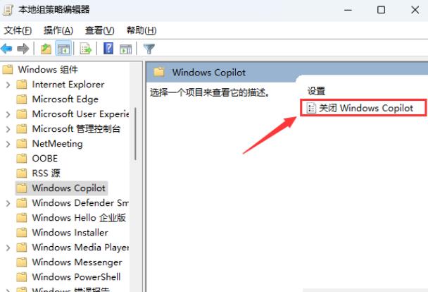 如何在Windows 11系统中完全禁用Windows Copilot功能