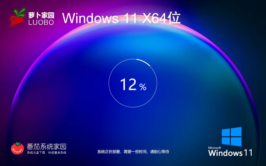 【專(zhuān)業(yè)人士首選】Windows11 23H2 64位 專(zhuān)業(yè)工作站版