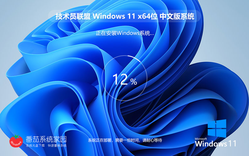 【六月更新】Windows11 23H2 精簡專業(yè)版ISO鏡像