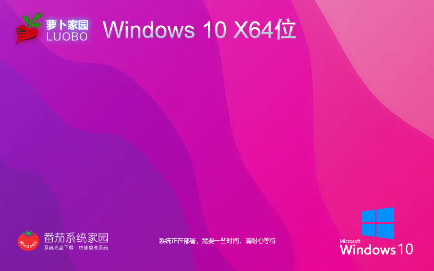 【巔峰性能，為專業(yè)而生】Windows10 22H2 64位 專業(yè)工作站版