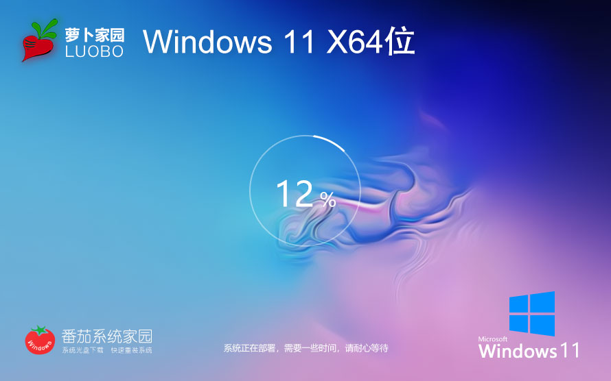 【七月最后更新】Windows11 23H2 X64 專業(yè)版