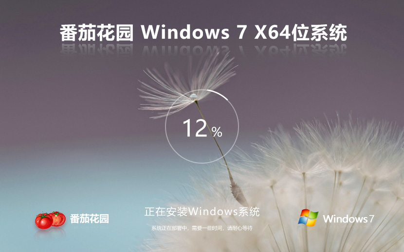 番茄花園 Windows7 SP1 專業(yè)版 旗艦版 IE8 IE11 x64 精簡 美化版