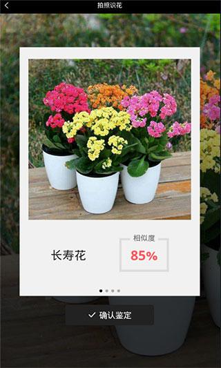 識花君app