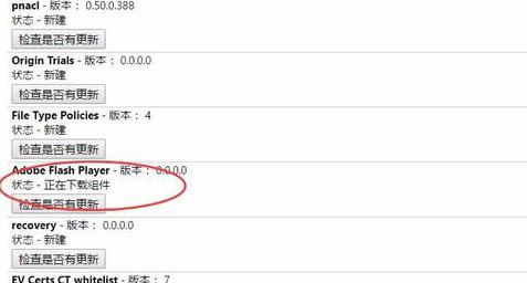 谷歌浏览器adobe flash player已过期，如何更新？